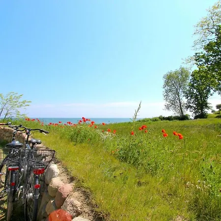 Apartment Strandnahe Mit Terrasse, Gratis Nutzung Vom Ahoi Erlebnisbad Und Sauna In Sellin - Rex Rugia 30-2