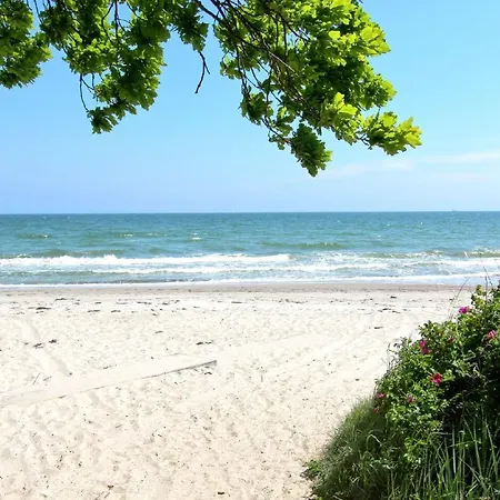 Apartment Strandnahe Mit Terrasse, Gratis Nutzung Vom Ahoi Erlebnisbad Und Sauna In Sellin - Rex Rugia 30-2 Lobbe