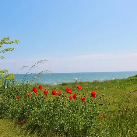 Strandnahe Fewo: Beachside Retreat With Terrace And Access Apartment Lobbe