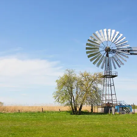 Apartment Strandnahe Mit Terrasse, Gratis Nutzung Vom Ahoi Erlebnisbad Und Sauna In Sellin - Rex Rugia 30-2 Lobbe