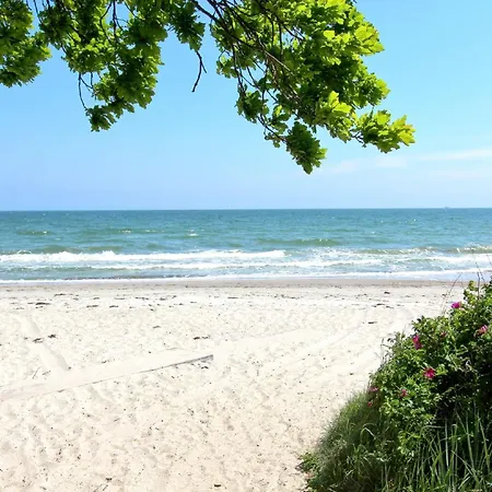 Apartment Strandnahe Mit Terrasse, Gratis Nutzung Vom Ahoi Erlebnisbad Und Sauna In Sellin - Rex Rugia 30-2 *