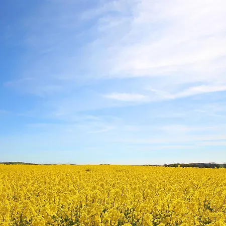 Apartment Strandnahe Mit Terrasse, Gratis Nutzung Vom Ahoi Erlebnisbad Und Sauna In Sellin - Rex Rugia 30-2 Lobbe
